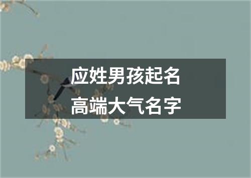 应姓男孩起名高端大气名字