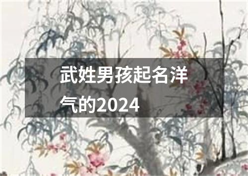 武姓男孩起名洋气的2024