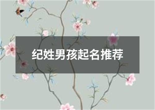 纪姓男孩起名推荐