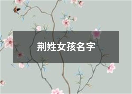 荆姓女孩名字