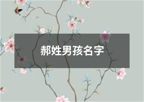 郝姓男孩名字