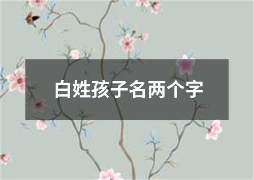 白姓孩子名两个字