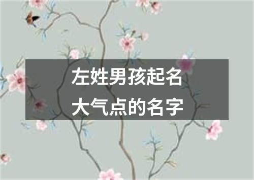 左姓男孩起名大气点的名字