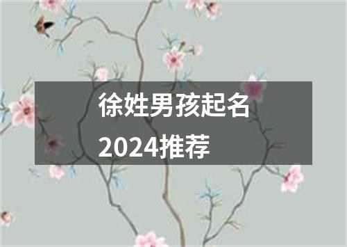 徐姓男孩起名2024推荐