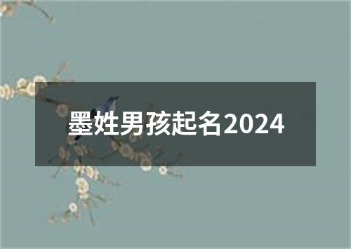 墨姓男孩起名2024