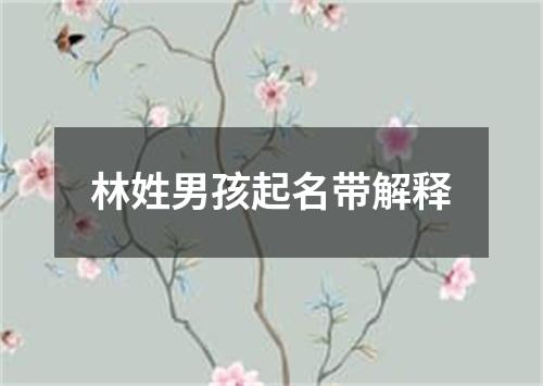 林姓男孩起名带解释