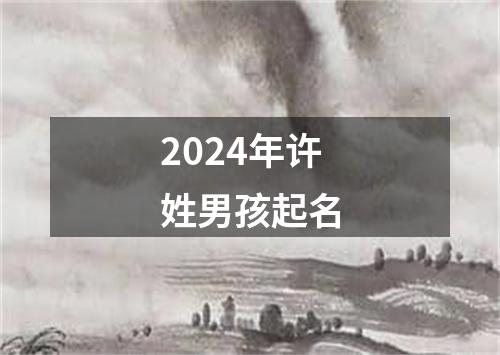 2024年许姓男孩起名