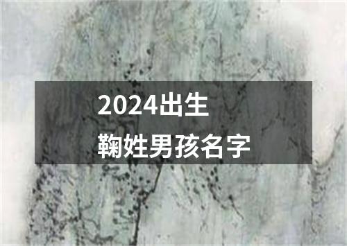 2024出生鞠姓男孩名字