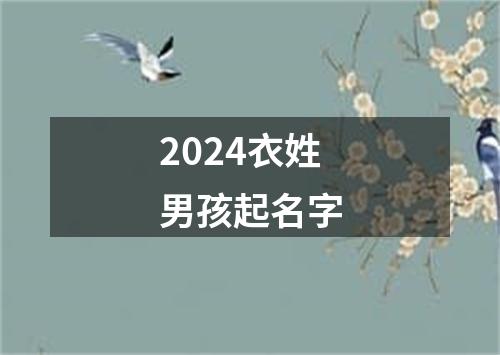 2024衣姓男孩起名字