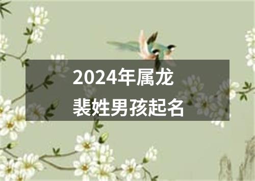 2024年属龙裴姓男孩起名