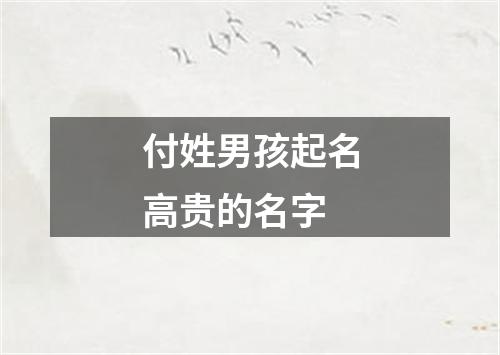 付姓男孩起名高贵的名字