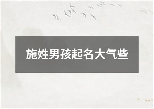 施姓男孩起名大气些