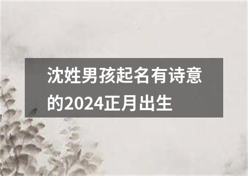 沈姓男孩起名有诗意的2024正月出生