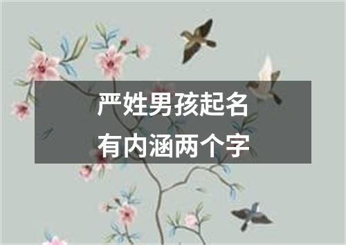 严姓男孩起名有内涵两个字