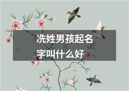 冼姓男孩起名字叫什么好