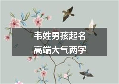 韦姓男孩起名高端大气两字