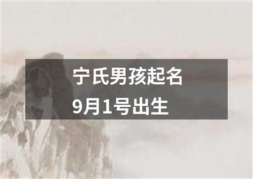 宁氏男孩起名9月1号出生