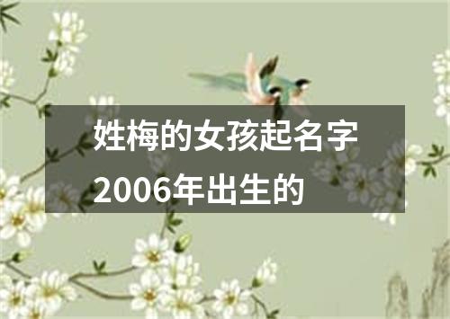 姓梅的女孩起名字2006年出生的