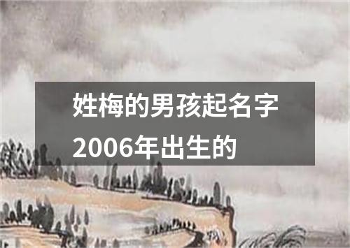 姓梅的男孩起名字2006年出生的