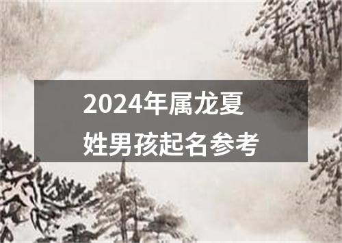 2024年属龙夏姓男孩起名参考