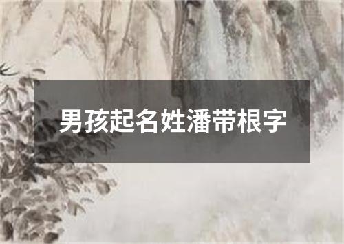 男孩起名姓潘带根字