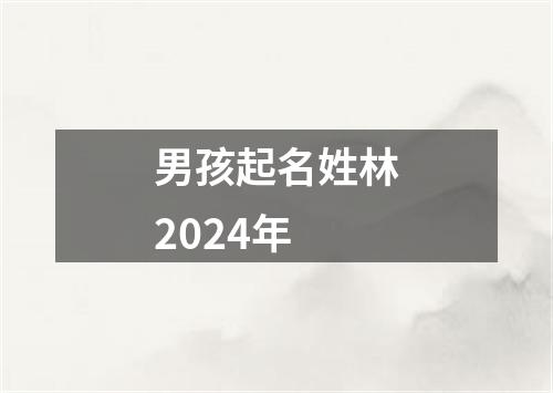 男孩起名姓林2024年