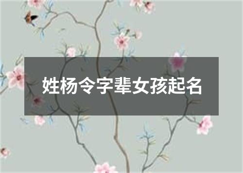 姓杨令字辈女孩起名