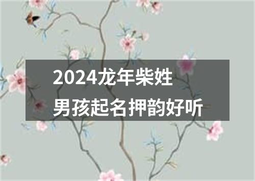 2024龙年柴姓男孩起名押韵好听