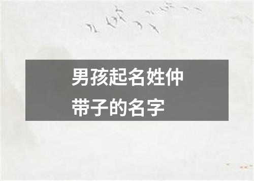 男孩起名姓仲带子的名字