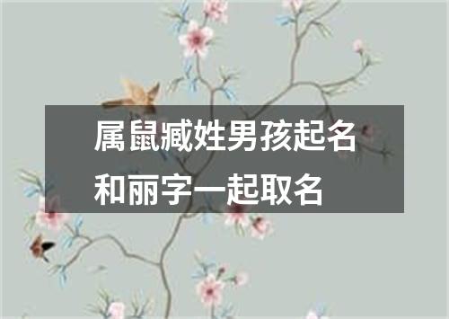 属鼠臧姓男孩起名和丽字一起取名