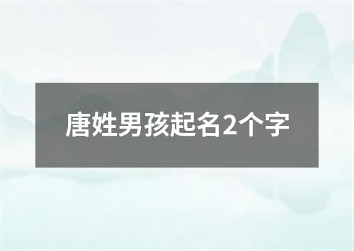 唐姓男孩起名2个字