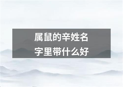 属鼠的辛姓名字里带什么好