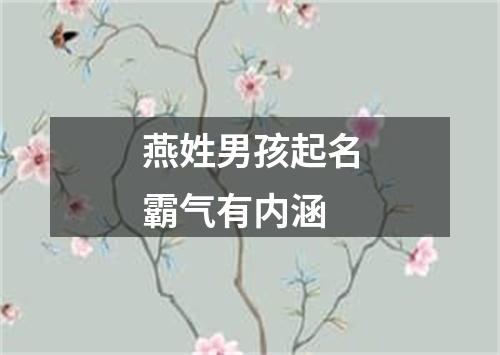 燕姓男孩起名霸气有内涵