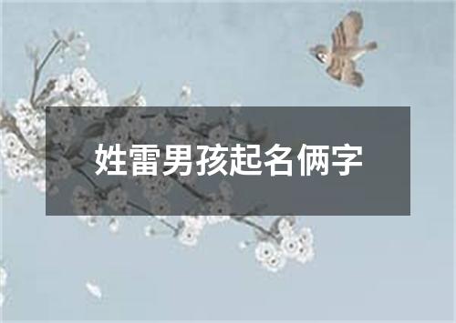 姓雷男孩起名俩字