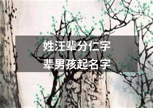 姓汪辈分仁字辈男孩起名字