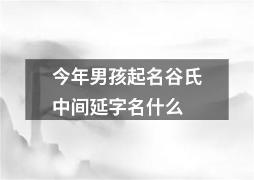 今年男孩起名谷氏中间延字名什么