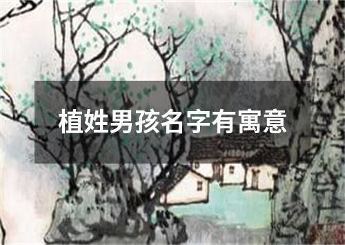 植姓男孩名字有寓意