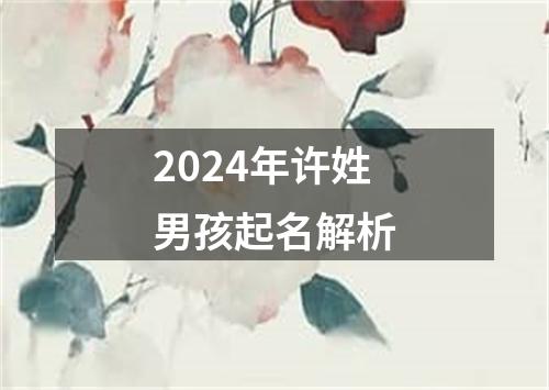 2024年许姓男孩起名解析