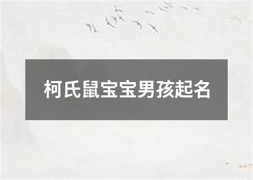 柯氏鼠宝宝男孩起名