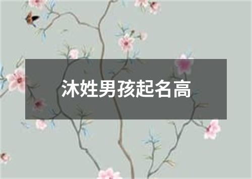 沐姓男孩起名高