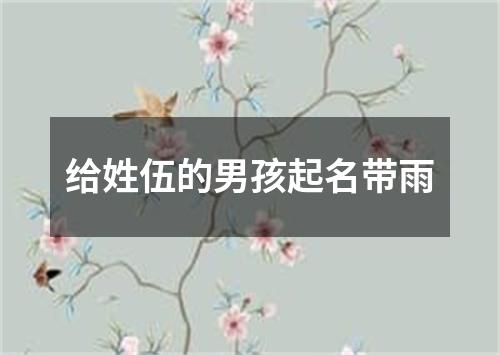 给姓伍的男孩起名带雨