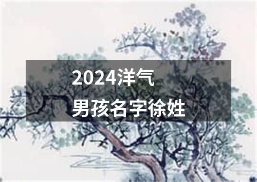 2024洋气男孩名字徐姓