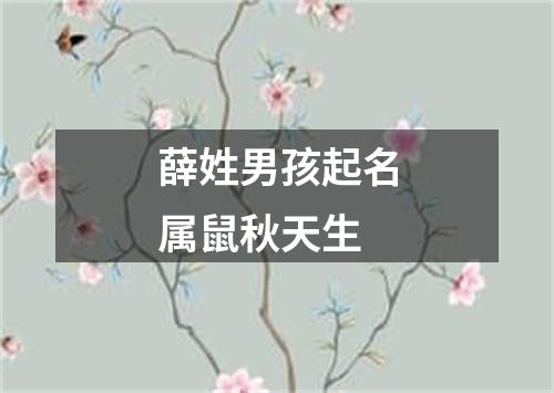 薛姓男孩起名属鼠秋天生