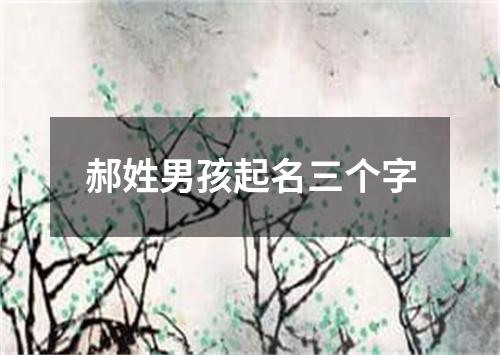 郝姓男孩起名三个字