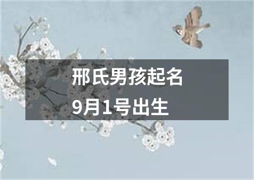 邢氏男孩起名9月1号出生