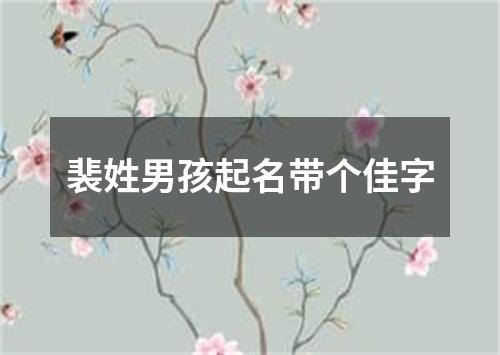 裴姓男孩起名带个佳字