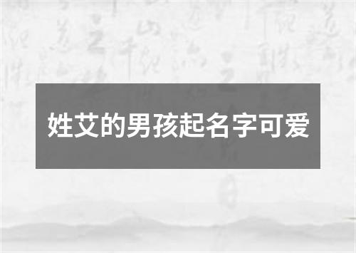 姓艾的男孩起名字可爱