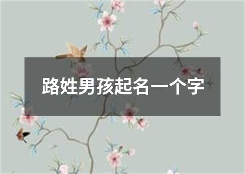 路姓男孩起名一个字