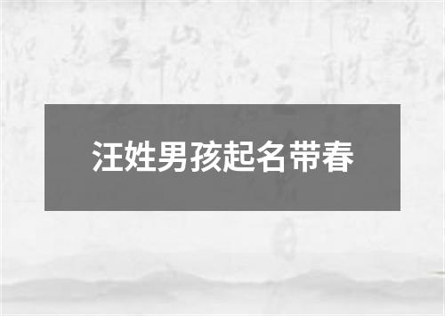 汪姓男孩起名带春