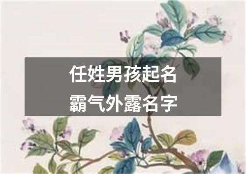 任姓男孩起名霸气外露名字